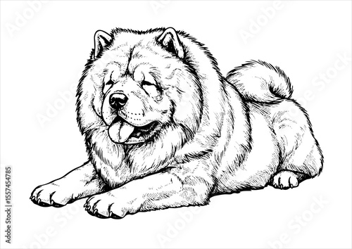 chow chow dog pet portrait engraving intricate retro hand drawn style line art black and white vector illustration, isolated on white background
