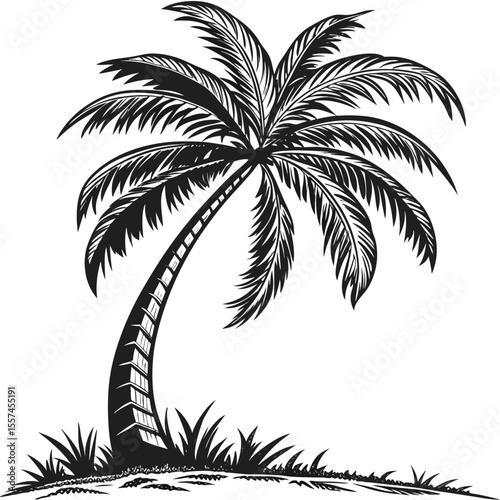 Palm tree silhouettes collection, suitable for exotic getaway promotions, tropical apparel prints, or nature-themed templates.