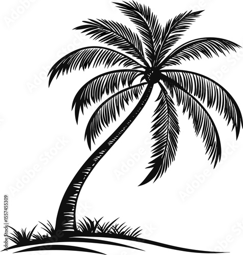 Palm tree silhouette vector set, isolated for easy use in logos, apparel, and exotic-themed design projects.