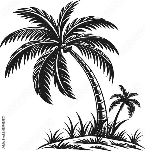 Collection of palm tree silhouettes, perfect for summer posters, travel ads, or nature-inspired digital artwork.