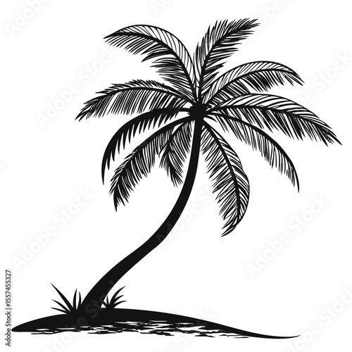 Silhouetted palm tree vector pack, including multiple styles for flexible use in print and digital tropical-themed designs.