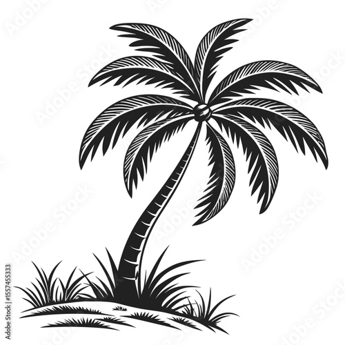Palm tree shadow-style illustration, useful for minimal design aesthetics or retro tropical posters.