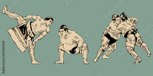 Traditional Sumo Wrestler Vector Illustration