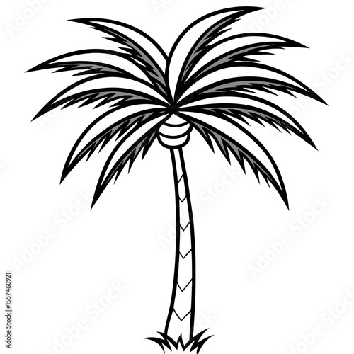 Tropical Palm Art Vector