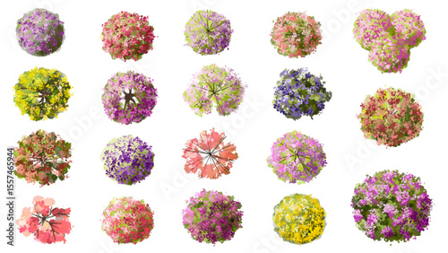 Vector watercolor of blooming tree top view isolated on white background for landscape plan and architecture drawing, elements for environment and garden,botanical elements ,blooming flower in spring