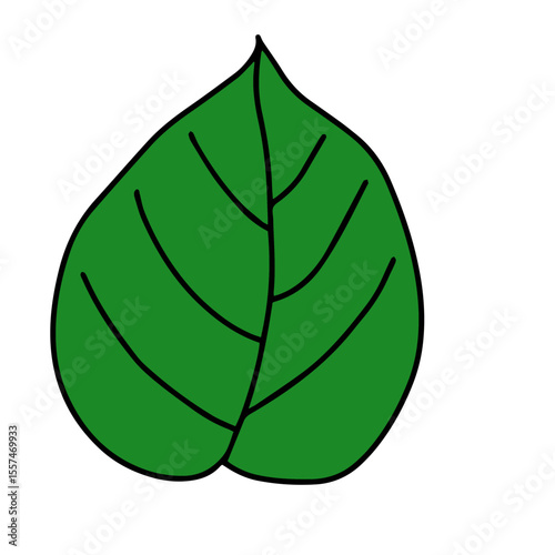 Handrawn tropical leaves, cartoon nature leaves isolated on white background