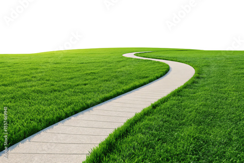 Winding stone pathway through vibrant green grass field under clear sky, isolated on a transparent background