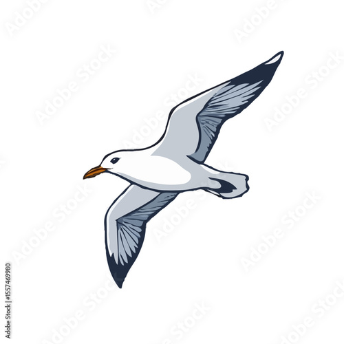 Refined Seagull Design