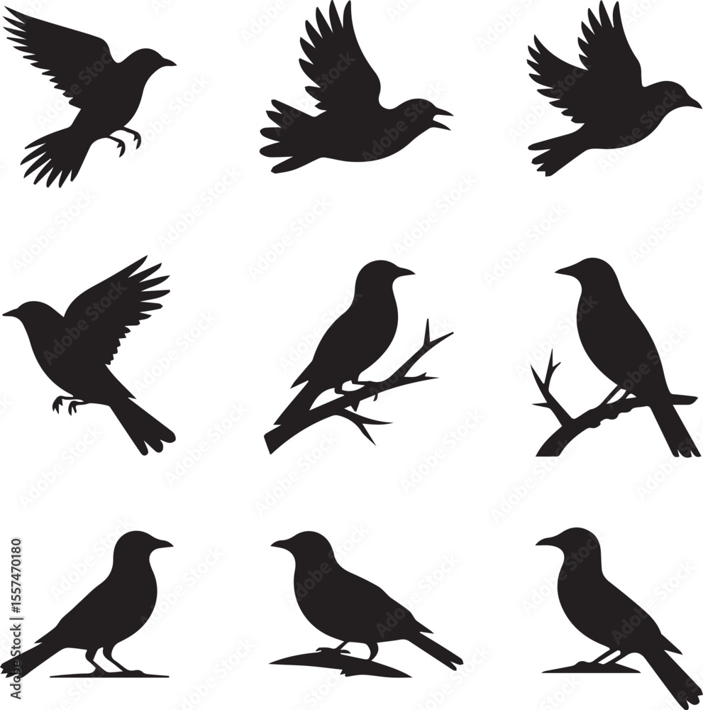 Fototapeta premium Black Bird Silhouette Set Flying and Perched Birds Vector Illustration