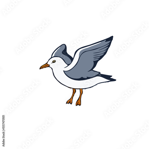 SImple. Contoured Seagull