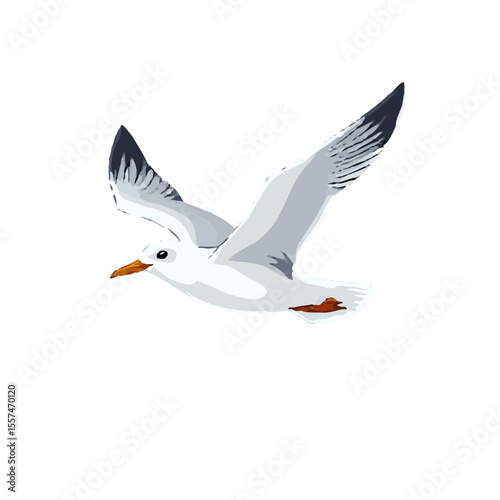 Refined 3D Seagull 