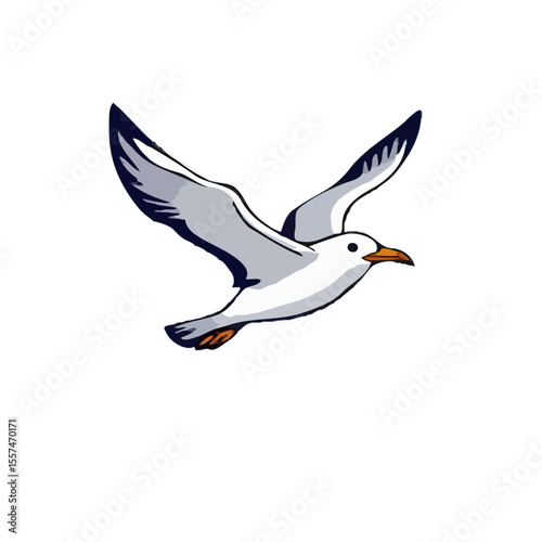 Detailed, Contoured Seagull Design