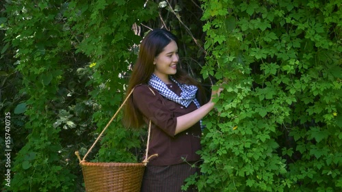 Smiling beautiful village woman holding a basket to picking vegetables in the garden. Footage 4k resolution