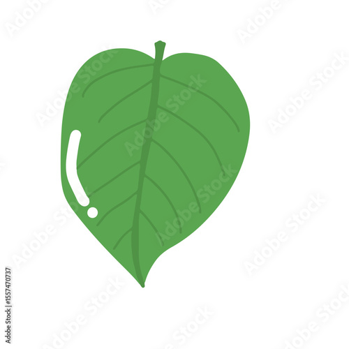 Handrawn tropical leaves, cartoon nature leaves isolated on white background