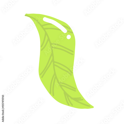 Handrawn tropical leaves, cartoon nature leaves isolated on white background