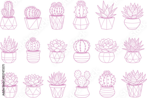 Pink Geometric Cactus and Succulent Line Art Icon Set
