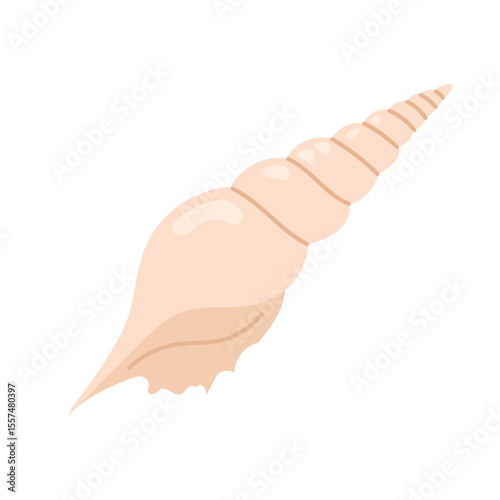Sea shell. Hand drawn underwater elements. Illustration for summer, ocean design, beach decor, kids projects.