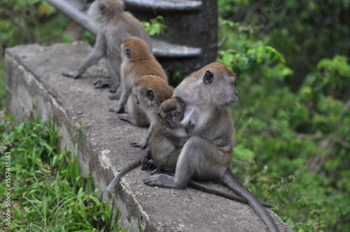 mother and baby