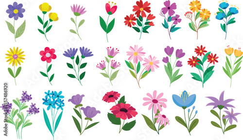 Set of spring and summer hand drawn flowers. Floral elements, wildflower, leaves and herb, plants, foliage on white background. Collection spring blossom icons. Vector flat illustration.