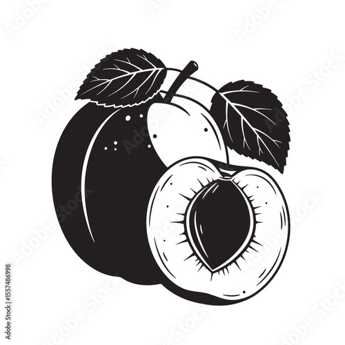 Black and white vintage art silhouette illustration of a fresh peach and half cut peach with leaves