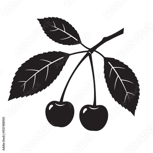 Elegant black and white vintage art silhouette illustration of two cherries and leaves