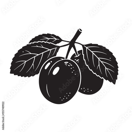 Elegant silhouette illustration of plums on a branch with leaves in a vintage art style design