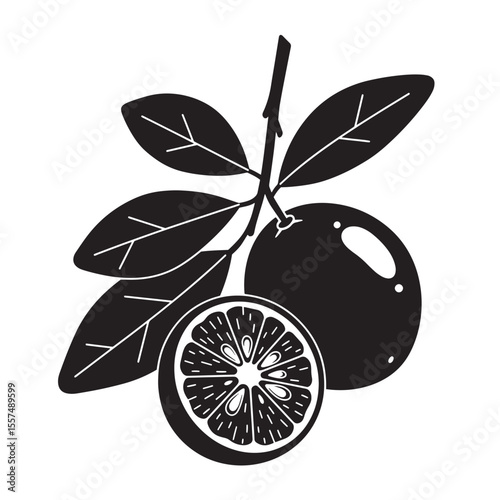 Elegant vintage art silhouette of citrus fruits featuring a whole orange and a slice