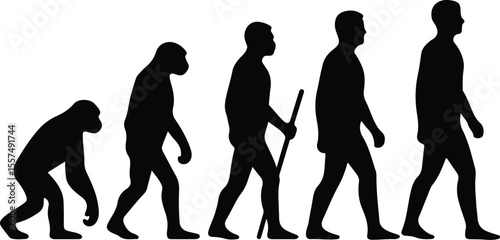 Silhouette human evolution from ape to modern man Vector illustration