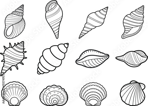 Seashell Icon Set – Vector Line Art Collection of Marine Shells