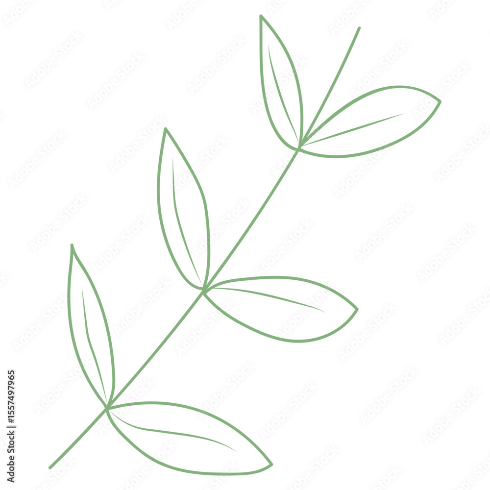 Obraz premium Aesthetic Leaf