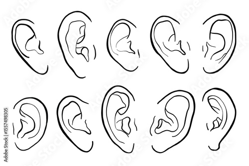 Human Ears Vector Line Illustration Set