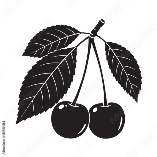 Black and white cherry branch illustration with leaves and two berries