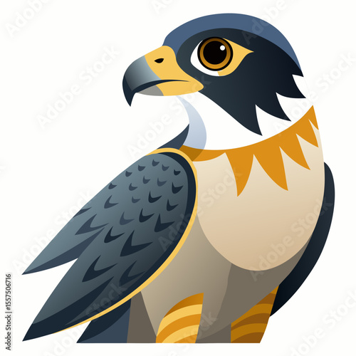 Stylized Peregrine Falcon Illustration with Geometric Shapes and Bold Colors Featuring a Sharp Beak and Focused Gaze Against a Clean White Background Perfect for Nature
