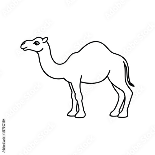 Camel Silhouette vector