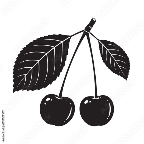 Detailed black and white cherry pair with leaves vintage art silhouette on a white background