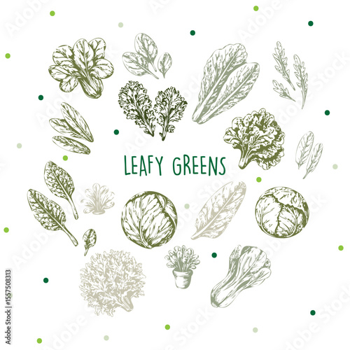 Hand-Drawn Leafy Greens Botanical Illustration with Green Accents