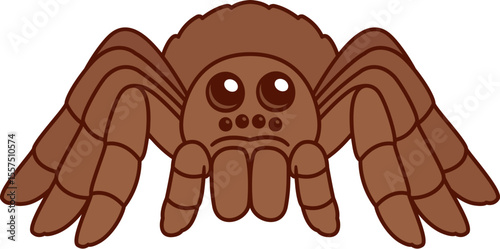 Cute cartoon tarantula spider drawing.  Isolated vector clipart illustration.