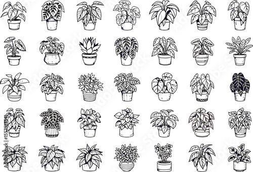 Collection of Hand-Drawn Houseplant Illustrations Unique Potted Plants