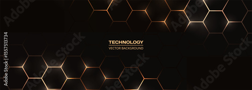 Black and gold hexagonal technology wide abstract background with honeycombs. Vector illustration