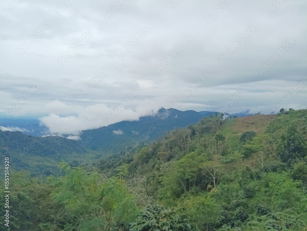 Fototapeta premium Misty Mountain Majesty Verdant Slopes and Cloud-Kissed Peaks