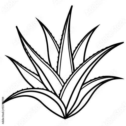 Aloe Vera line art vector