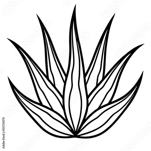 Aloe Vera line art vector