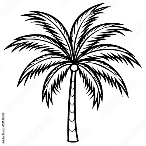Areca Palm line art vector