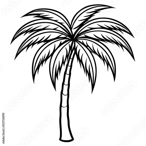 Areca Palm line art vector