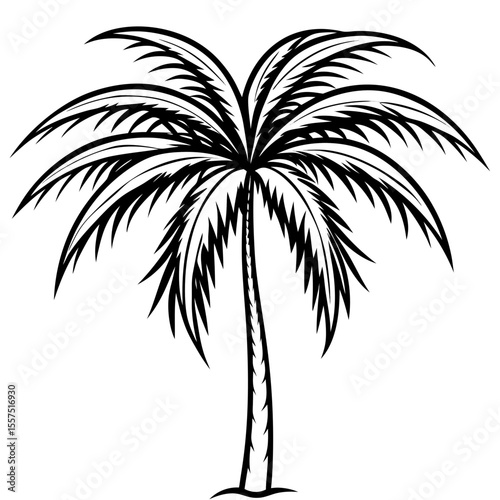 Areca Palm line art vector