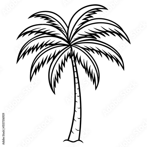 Areca Palm line art vector