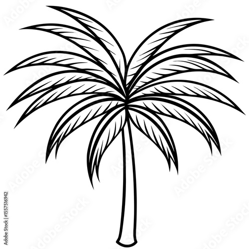 Areca Palm line art vector