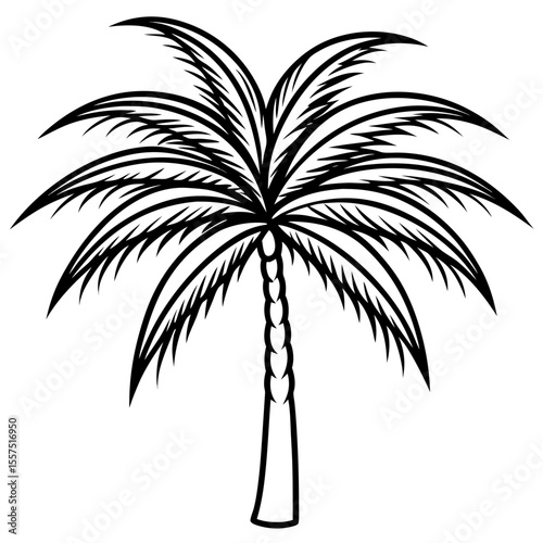 Areca Palm line art vector