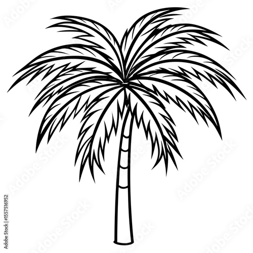 Areca Palm line art vector