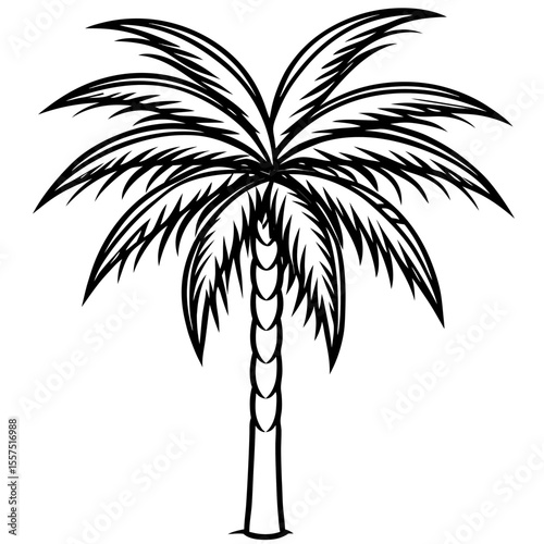 Areca Palm line art vector